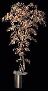 Life Like Custom Made Mini Japanese Maple Tree Red/ Green