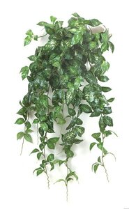 30 inches Faux Acuba Bush Vine