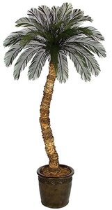 4 feet -12 feet Tall  Custom Made Cycas Palm Tree 36 Tutone Green Fronds Larger Palm Head 6 feet Wide  Natural Trunk