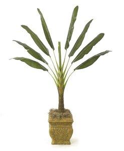 P-0790 Faux Life Like 6.5 feet AND 8.5 feet Travellers Palm