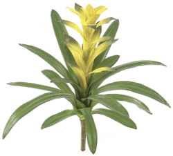 Faux Life Like 26 inches Foam Guzmania - Soft Touch - Green/Yellow