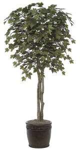 W-60716 All Weather Custom Made Maple Tree On Natural Wood