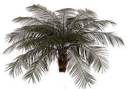 A-0091 Outdoor Phoenix Palm Head Custom Made 18 Fronds OR 24 Fronds
