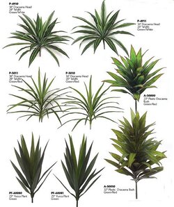 Life Like Dracaena Yucca Head Collection