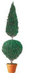 Preserved Ball And Cone Topiary. Choose between 20 inches-30 inches 50 inches tall heights.