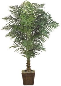 EF-2408 6 feet And 7 feet Fountain Palm