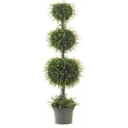EF-3392 5.5 feet Mini Tea Leaf Double Ball Topiary
