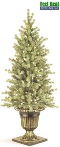 C-30241 4 feet 6 feet Ashland Spruce Entrance Tree Blue /With urn as shown