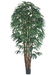 EF-318 8 feet Rhapis Tree x7 w/1400 Lvs. in Pot Two Tone Green(Sold in 2 pc set) **Price is for 2...