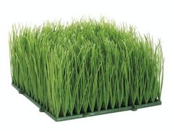 4"H 5"W 5"L Plastic Wheat Grass Mat (Sold In A Set Of 4 PC)