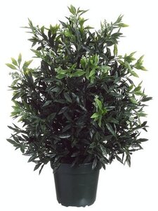 EF-LPS230-GR 32"SKIMMIA BUSH (Price is for a 4 PC SET)