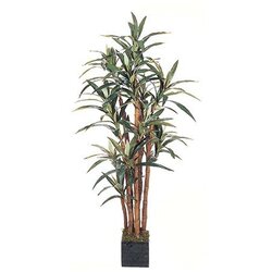 EF-5568 5 feet Yucca Dracaena Plant w/172 Lvs In Wooden Pot