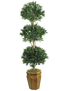 EF-1002 	6 feet Sweet Bay Ball-Shaped Tree in Hex Wood Container