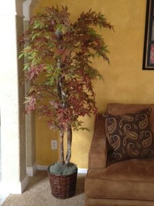 EF-1924  Japanese Maple Tree Red/ Brown/Green