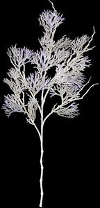 25 inches Iridescent Coral Spray - 8 inches Stem - 8 inches Width - White