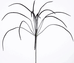 23 inches Flocked Grass Bush - 7.5 inches Stem - 24 inches Width - Silver/Black