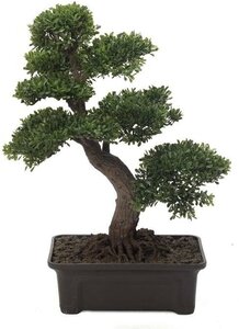 EF-3358 2 feet Chinese Tea Leaf Potted Bonsai Tree