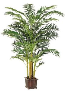 EF-109  9 feet Areca Palm Tree in Wood Container Green(Price is for a 2pc set)