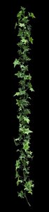 EF-72   72 inches Outdoor English Ivy  Garland Green
