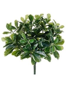 EF-0105   	16.5 inches Uv Outdoor Baby Schefflera Bush Green (Price is for 12 pc set)