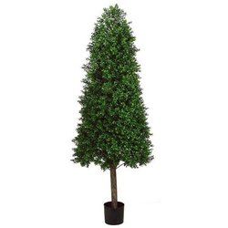 EF-265  	5.5 feet Outdoor Cone-Shaped Boxwood Topiary in Plastic Pot Two Tone Green Outdoor/Indoor