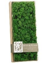 EF-094  4.1"Hx7"Wx17"L Assorted Preserved Reindeer Moss in Box Green   (Price is for 4 Boxes)