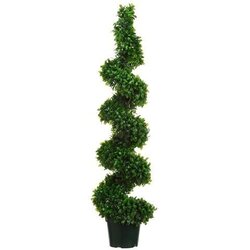 EF-365  	5 feet Jade Plant Spiral Topiary in Black Plastic Pot Green (2 PC SET)