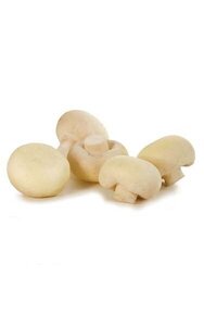 Plastic Mushrooms - 5 Pcs per bag - Natural