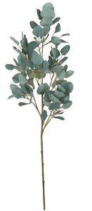 36.5 inches EUCALYPTUS BRANCH