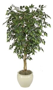 8 feet Ficus Tree - Natural Trunks - 2,280 Leaves - Green