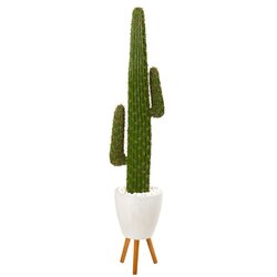 5.5' Cactus Artificial Plant in White Planter with Stand