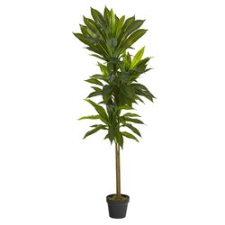 56" Dracaena Artificial Plant (Real Touch)
