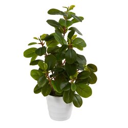 16" Peperomia Artificial Plant in Decorative Planter