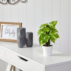 9" Pothos Artificial Plant in White Planter (Real Touch)