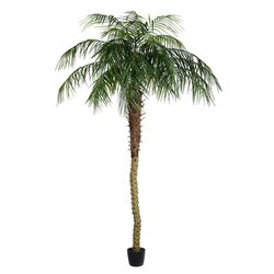 8 feet Potted Pheonix Palm Tree 1095Lvs