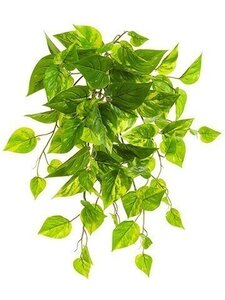 19 inches UV Outdoor Protected PVC Pothos Leaf Bush  Green White