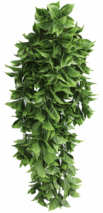 28.5 Inches long 10.6 Inches Wide Outdoor/Fire Rated Artificial Dense Hanging Pothos Bushes – Viv...