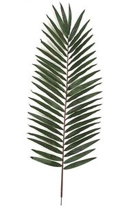 Giant Palm Branch - 28 inches Width - Green - FIRE RETARDANT