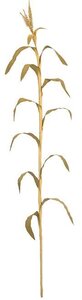 7.5 Foot Fire Retardant Fall Corn Leaf Plant