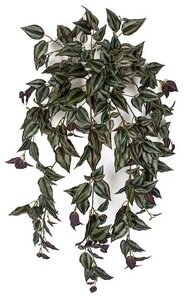 36 Inch Fr / Uv Hanging Wandering Jew Bush