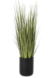 64"Hx15"Wx15"L Wild Grass in Black Cement Planter Green Light