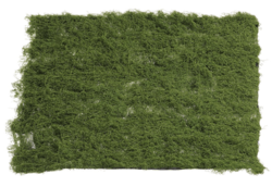 39"Wx39"L Moss Sheet  Green