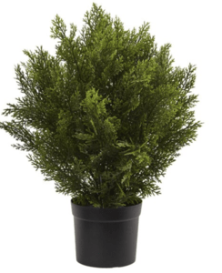 2 Foot Outdoor UV  Cedar Bush (Indoor/Outdoor)