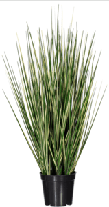 ***Choose your size*** 24" - 36" - 48" - 60"   Green / Evergold Outdoor  UV Onion Grass Potted