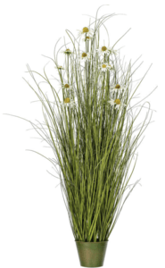 60" Green Daisy Grass In Iron Pot