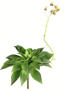 18" Artificial Green Succulent Stem