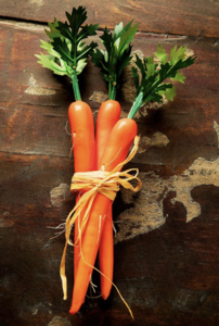 11" Carrot Bundle x3  Orange