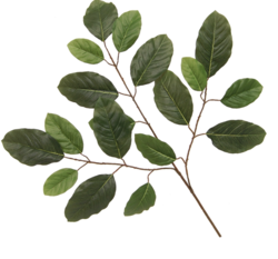 23" Banyan Spray 18 Leaves **PRICE IS PER DOZEN ****