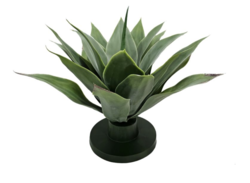 17 Inches H x 18"W  Silver Agave Plant W/Base 22 Lvs