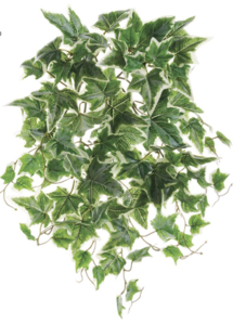19" Outdoor UV Protected Ivy Bush  Green/Cream